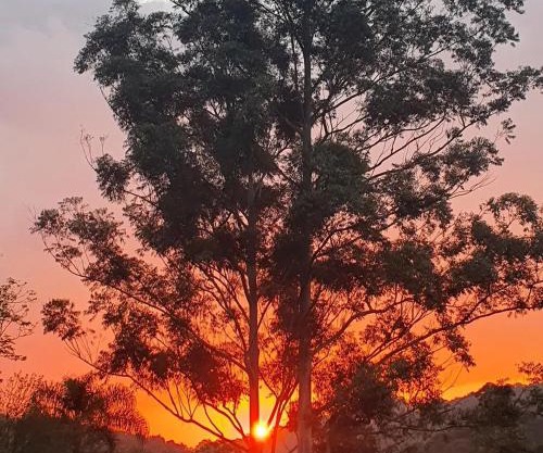 Casa Térrea e Rústica - Serra da Cantareira