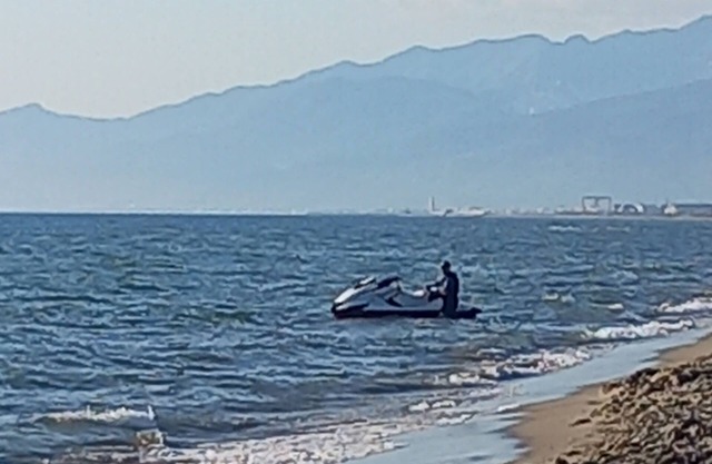 Casa vacanza Migliarino