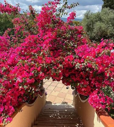 Casa Vacanze La Brii
