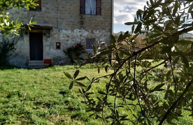 Casale "Die blaue Kornblume"