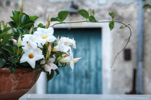 CasaMia
