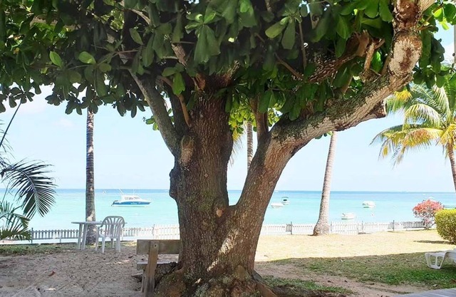 Casanou Propriété en Front de mer - Flore