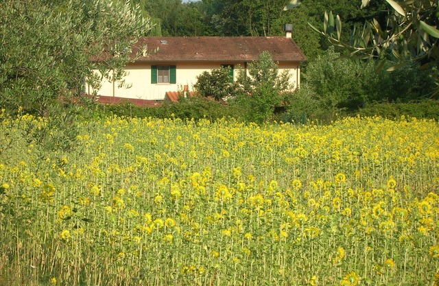 Sich wie zu Hause fühlen