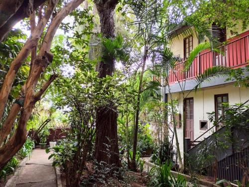 Casarão com amplo quintal, a paz ao lado do Centro