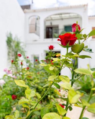 Casas De Les Roses