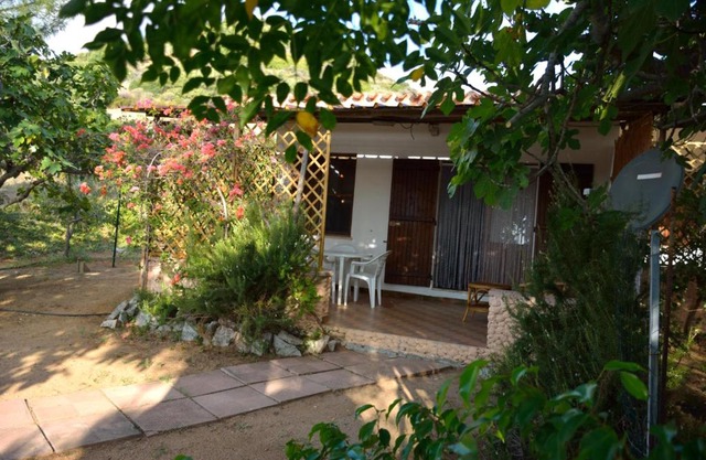 Case 800 mt dal mare - Casa Flora e Casa Aurora