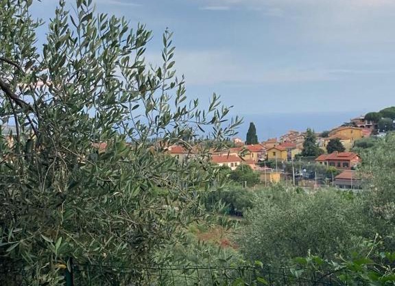 Case giardino