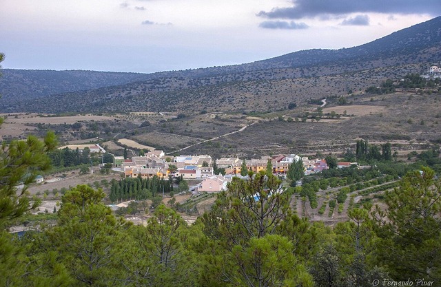 CASERIO INAZARES- lavender house