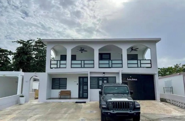 Casita Antonia: Orquídeas