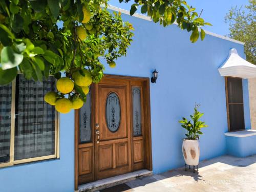 Casita Azul