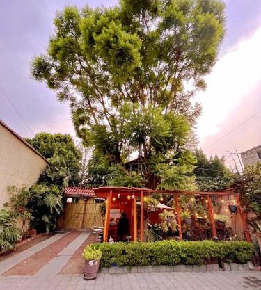 Casita del Árbol