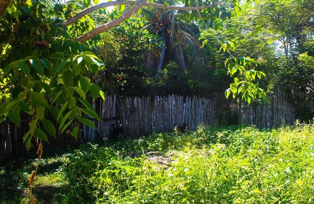 Casita Kuxtal El Cuyo