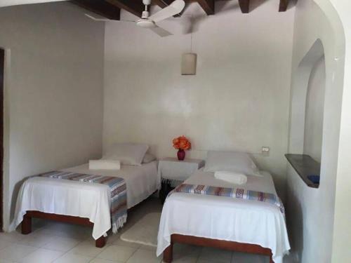Casita Zyan área Bacocho Starlink
