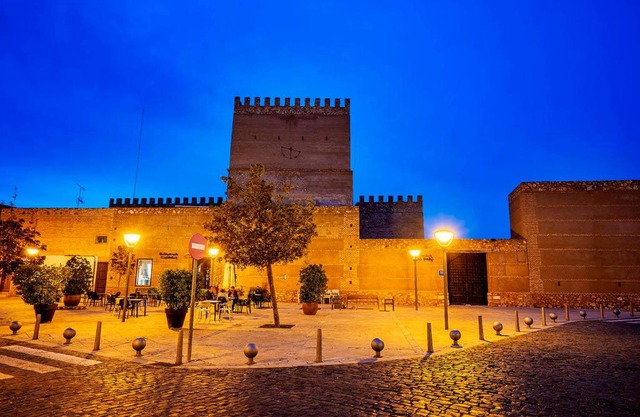 Castillo De Pilas Bonas