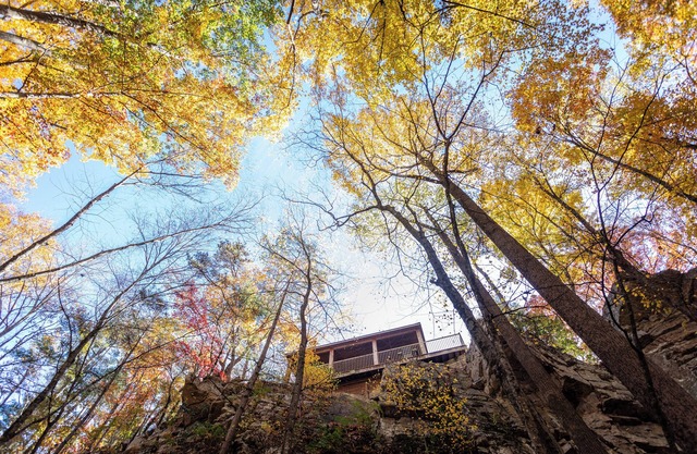 Castle Cliff Riverfront Cottage Peaceful Private Less than15 min to Harrisonburg