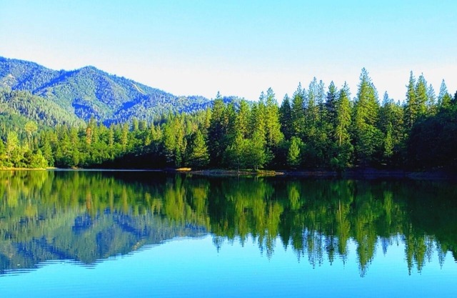 'Schloss von Lake Shasta' - GRÜN