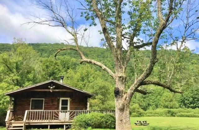 Catskill Cabin with Fireplace 2 br