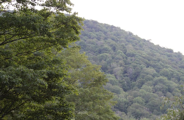 Catskill Seasons Inn