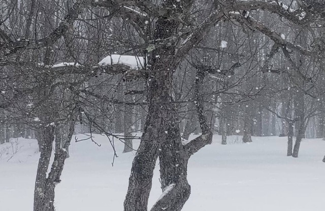 Catskills Getaway
