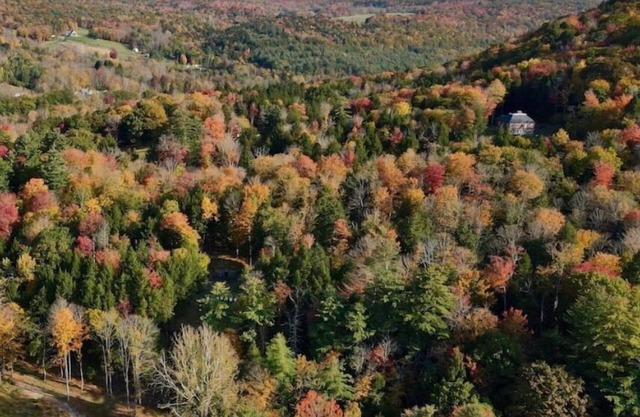 Catskills Hideaway - East