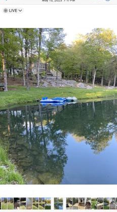 Catskills Pond Getaway