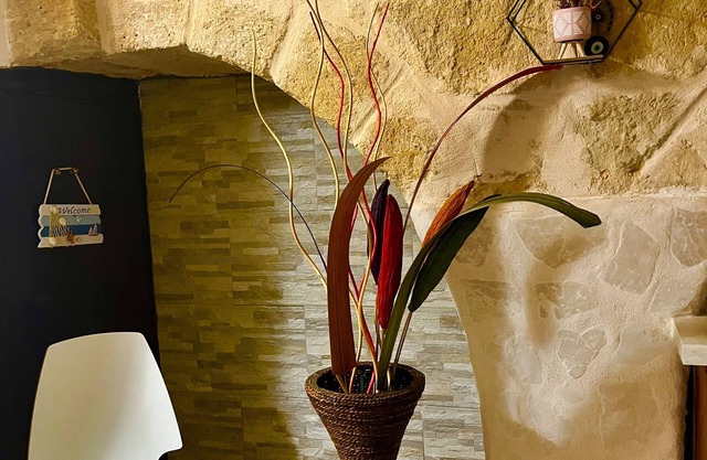Cattleya apartment. Mola di bari