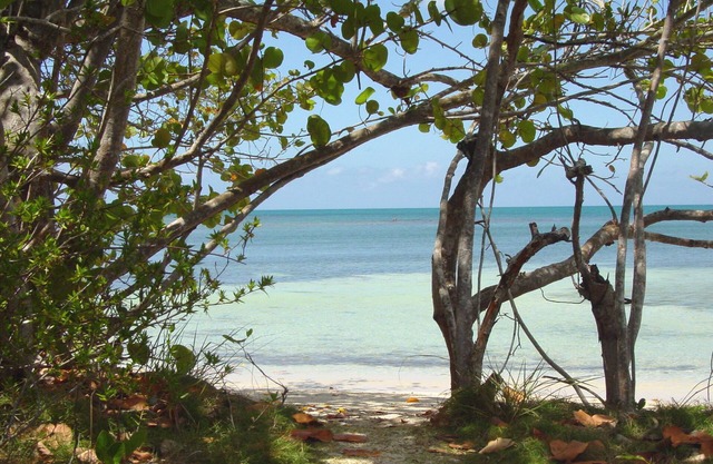 Cayo del Sol private und gemütliche 3-Zimmer-Wohnung am Strand