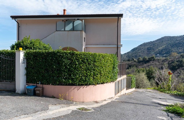 Cecilia's Olive Tree