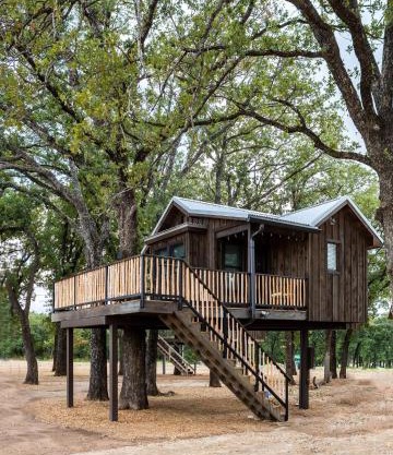 Cedar Waxwing Treehouse15 MIN to MagnoliaBaylor