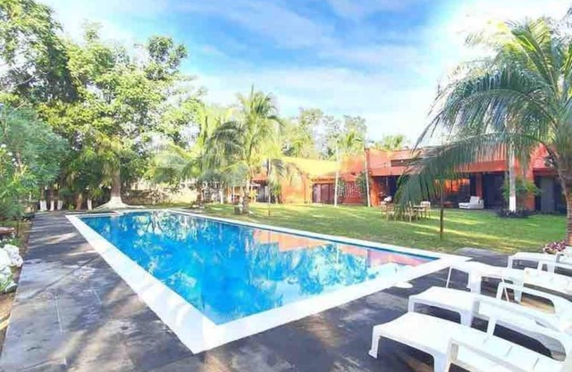 Ceiba Maya