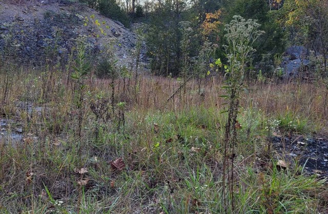Celtic Glen Farm Stay - Quarry Site