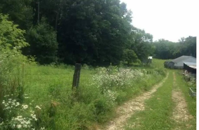 Celtic Glen Farm Stay - Shady pasture overlook