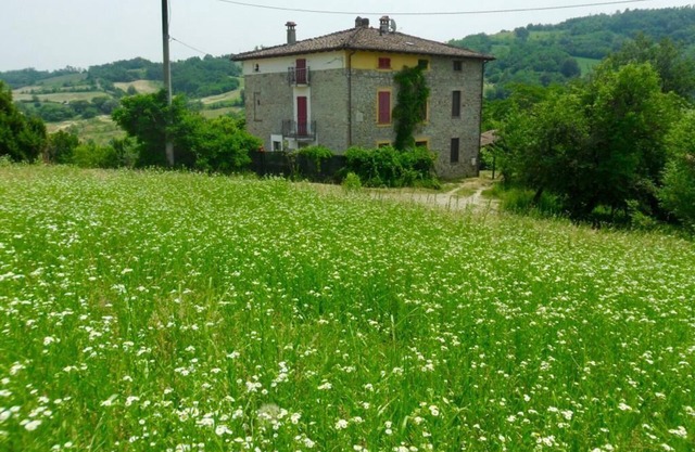 Cento Giorni dall'Artist