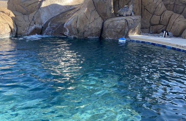 Central Lake Havasu home - pool and water slide!