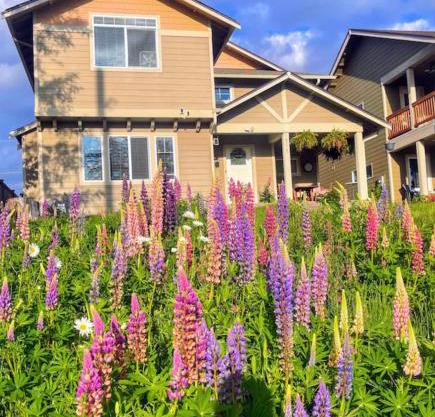 Central Tacoma Homestay with breakfast included -private room-
