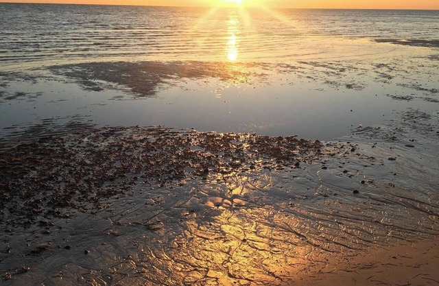 Centrally located to fishing, biking, hiking, beaches, and seafood restaurants.