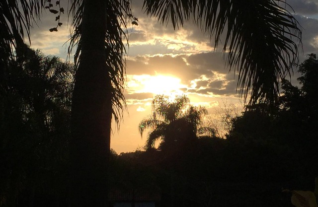 Chácara com Muito Verde e Tranquilidade