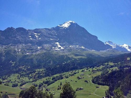 Bachsbort 14 4- Bett Wohnung Parterre, freie Sicht auf Eiger - b48638
