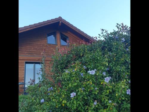 Chalet Bois Cosy - Climatisé - Piscine privée