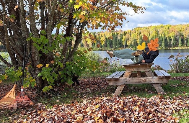 Chalet Chute-Saint-Philippe ♥ Waterfront ♥ SPA ♥ Wifi ♥ Billiards ♥ Fireplace