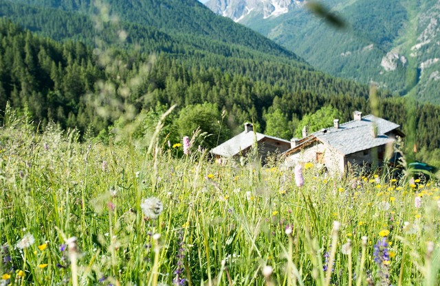 Chalet 'Civico 2' mit Bergblick, Balkon und WLAN