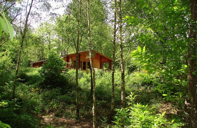 Chalet auf dem Lande