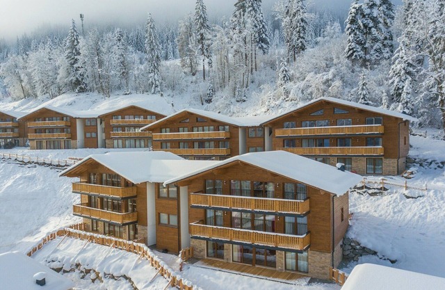Chalet in Wagrain nahe Flying Mozart Lift