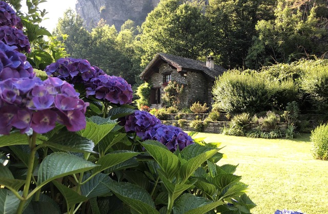 CHALET LA BAITA