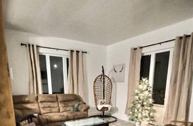Chalet : LE St-pierre
