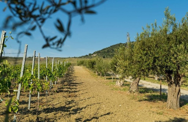 Chalet Nocera - Tenuta Lacco