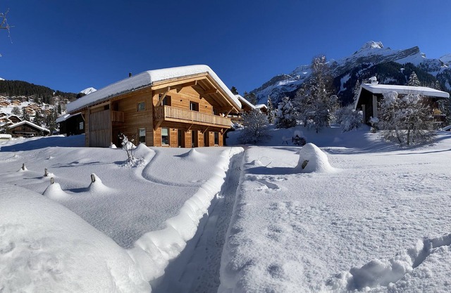 Chalet Vicky und Nino schöne neue Wohnung