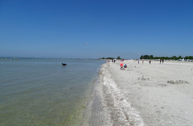 Chalet YY-4 with unobstructed view over the IJsselmeer.