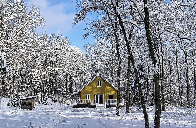 Chaleureux Chalet en forêt à quelques minutes des sentiers de randonnée.