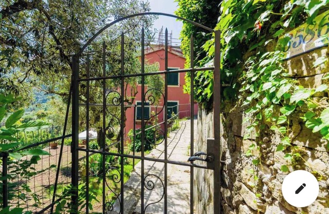 Charm in the Portofino park